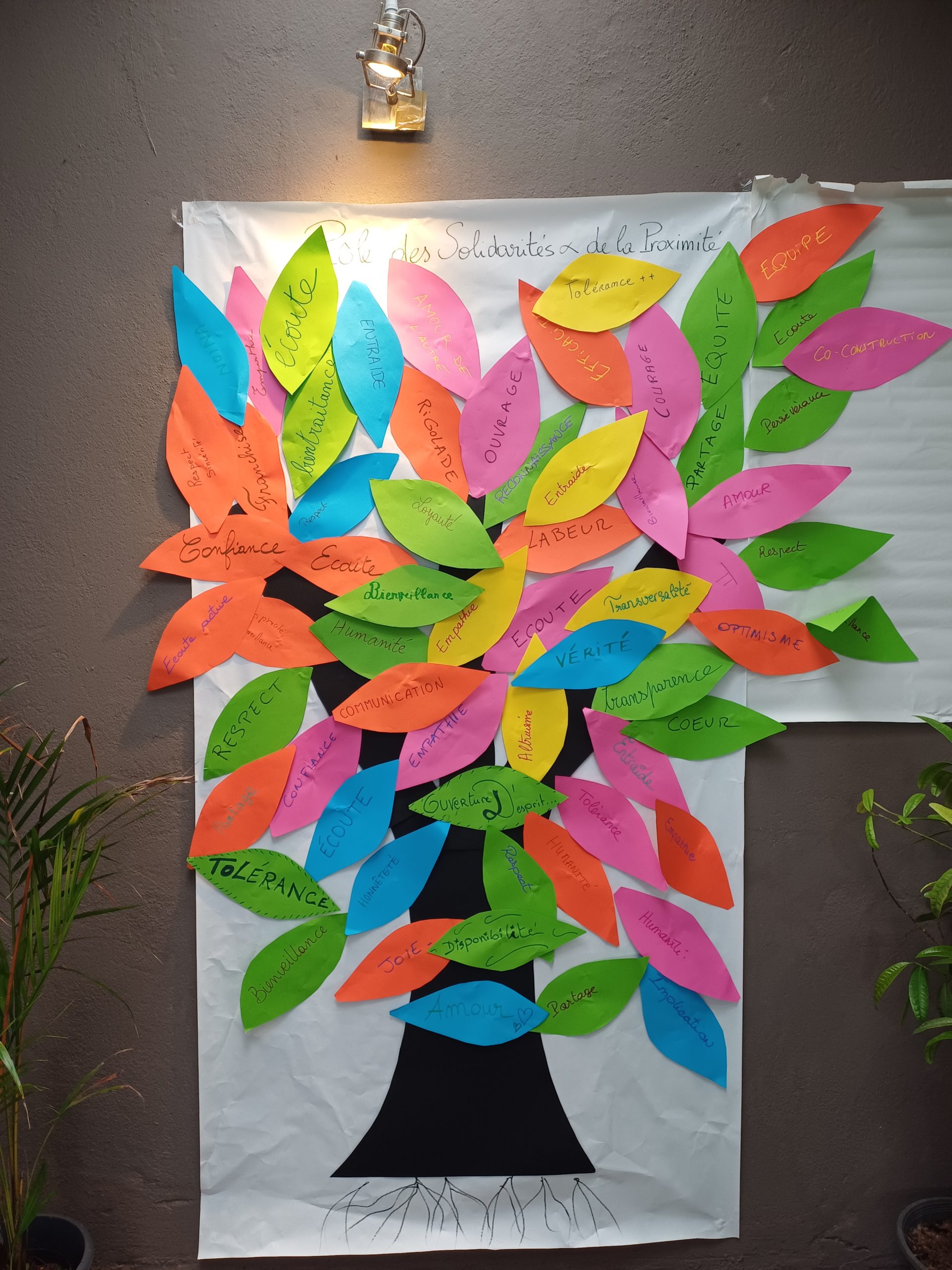 Ma démarche pédagogique